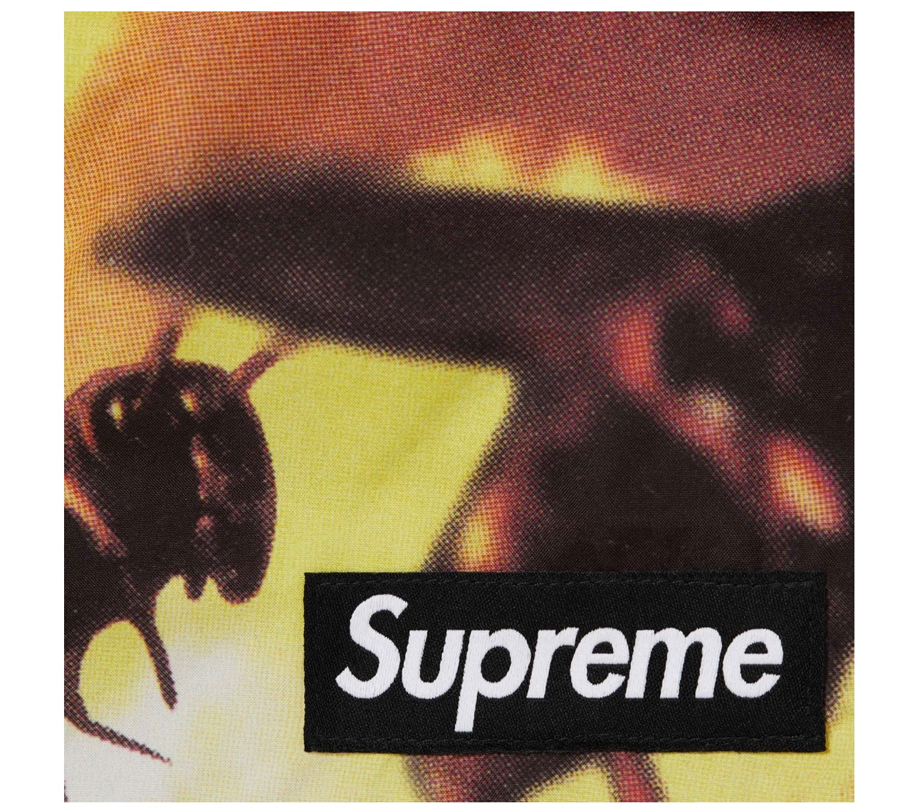 Supreme x Wu-Tang Clan GORE-TEX Cargo Pants - Multi