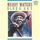 Blues Sky by Muddy Waters