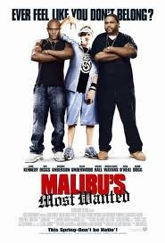Le Truand De Malibu (Plein Écran) - DVD