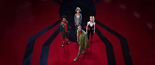 Spider-Man: Into The Spider-verse - DVD