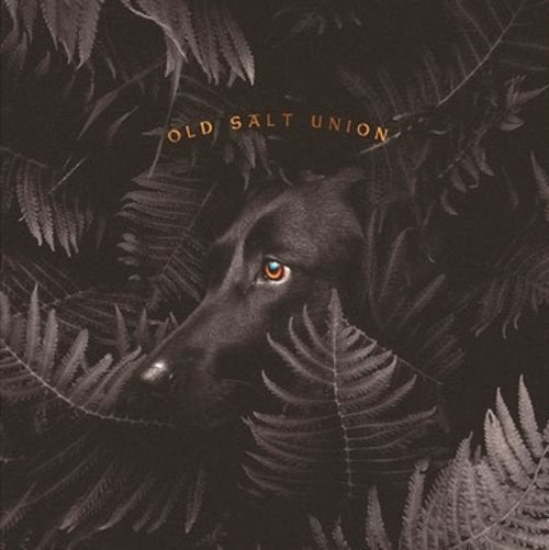 Old Salt Union / Where The Dogs Don't Bite - LP ORANGE