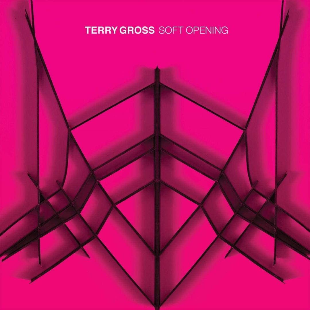 Terry Gross / Soft Opening - LP 12'' COLOR EDITION