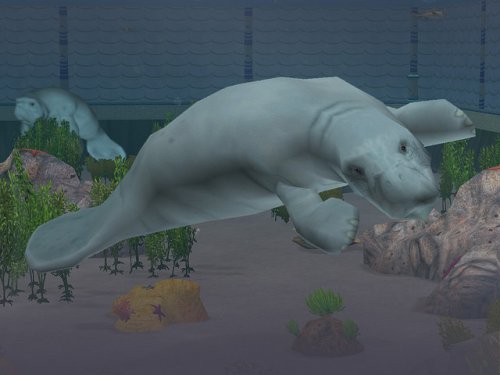 Fr Zoo Tycoon2: Marine Mania Win32 DVD Case CD