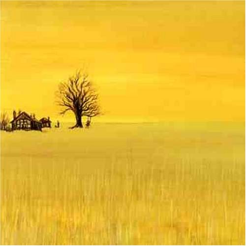 Jean-Pierre Ferland / Jaune 35 Ans - CD / DVD (Used)