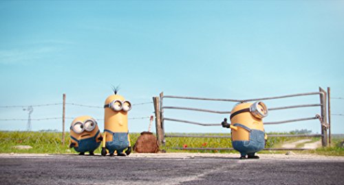 Minions - DVD (Used)