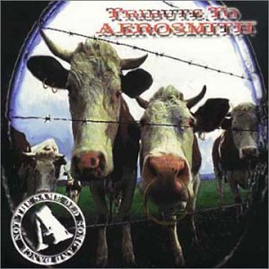 Hommage à Aerosmith - Pas la même vieille rengaine