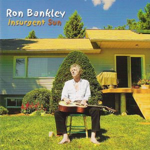 Insurgent Sun