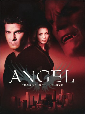 Angel: The Complete First Season - DVD (Used)