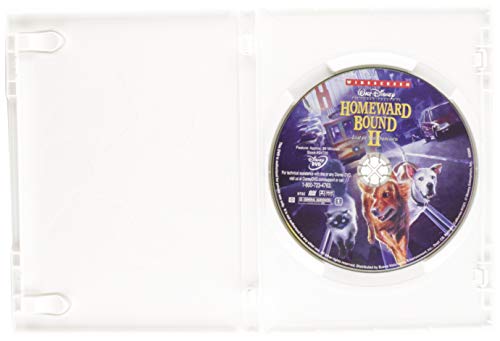 Homeward Bound II: Lost in San Francisco (Bilingual)
