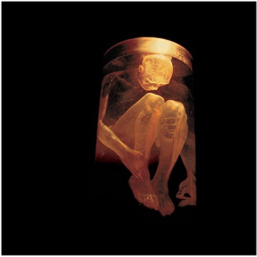 Alice In Chains / Nothing Safe - CD (Used)