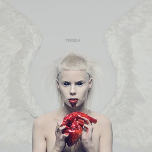 Die Antwoord / Tension - CD (Used)