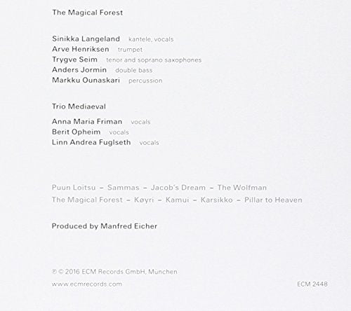 The Magical Forest