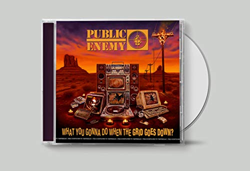 Public Enemy / What You Gonna Do When The Grid Goes Down? - CD