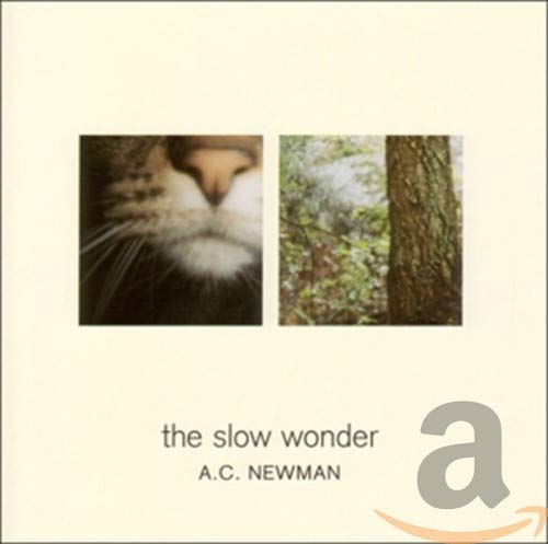 The Slow Wonder