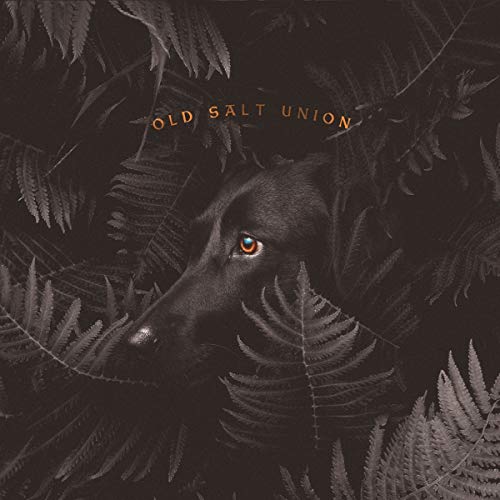 Old Salt Union / Where The Dogs Don't Bite - CD