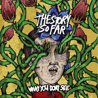 The Story So Far / What you don't see - LP COLOR