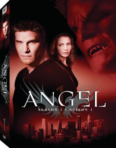 Angel: Season 1 - DVD
