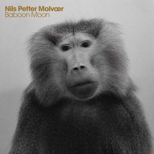 Nils Petter Molvaer / Baboon Moon - CD (Used)