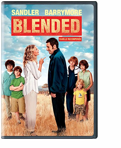 Blended - DVD (Occasion)