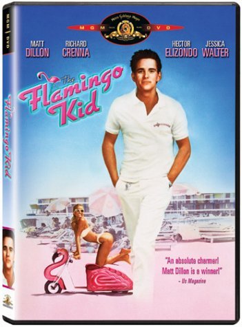 The Flamingo Kid - DVD (Used)