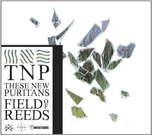 Field of Reeds by These New Puritans