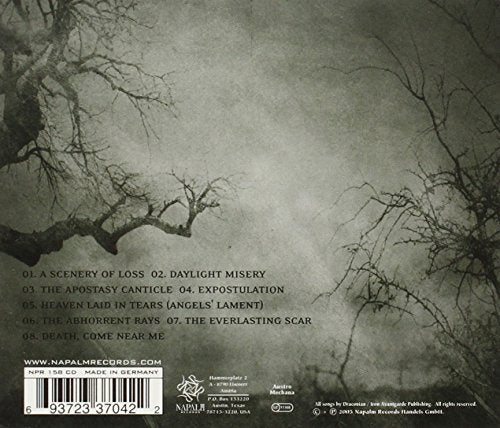 Arcane Rain Fell