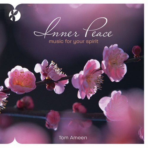Tom Ameen / Inner Peace - CD (Used)