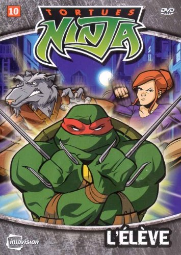 Tortues Ninja / Vol 10 - DVD (Used)