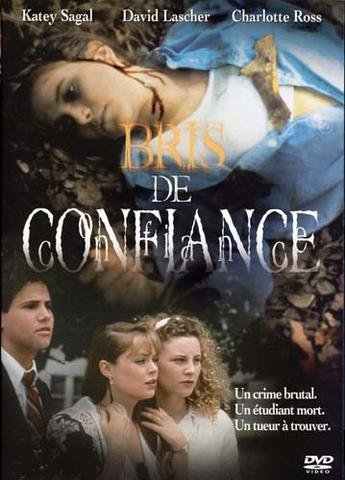 Bris De Confiance - DVD (Used)