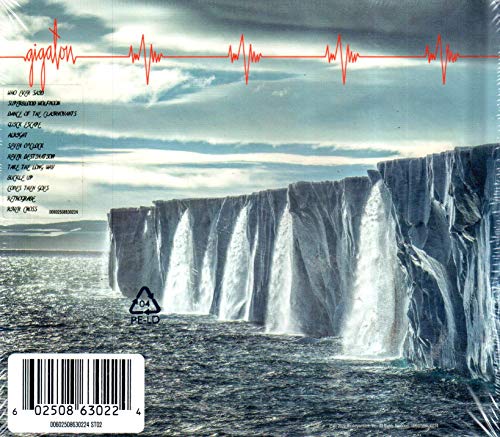 Pearl Jam / Gigaton - CD