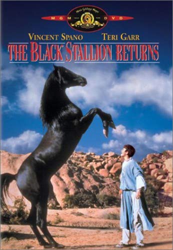 The Black Stallion Returns - DVD (Used)