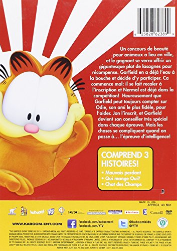 Garfield & Cie / La Soirée Cinéma - DVD