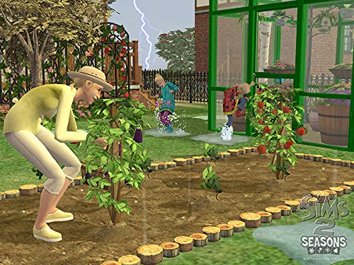 Les Sims 2: Au fil des saisons - Windows
