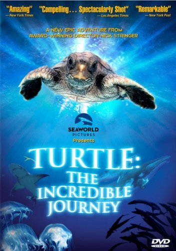 Turtle: The Incredible Journey - DVD (Used)