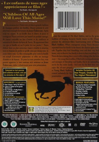 Young Black Stallion - DVD (Used)