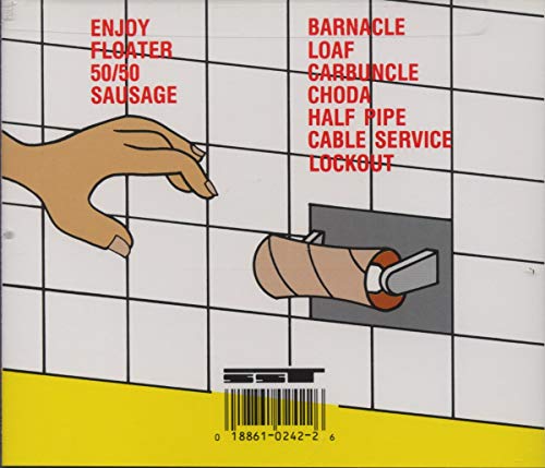Descendents / Enjoy - CD