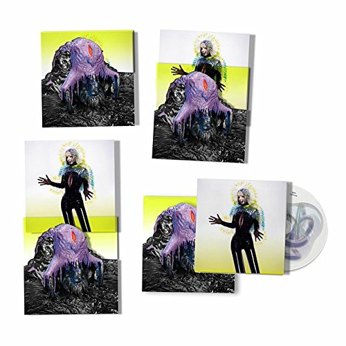 Bjork's Vulnicura