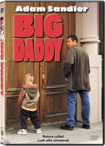 Big Daddy - DVD (Used)