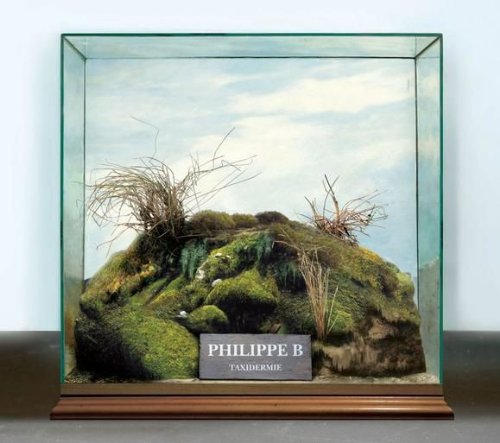 Philippe B / Taxidermie - CD (Used)