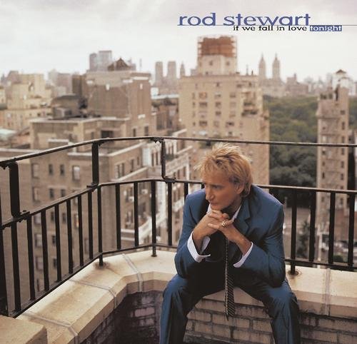 Stewart Rod / If We Fall In Love Tonight - CD (Used)