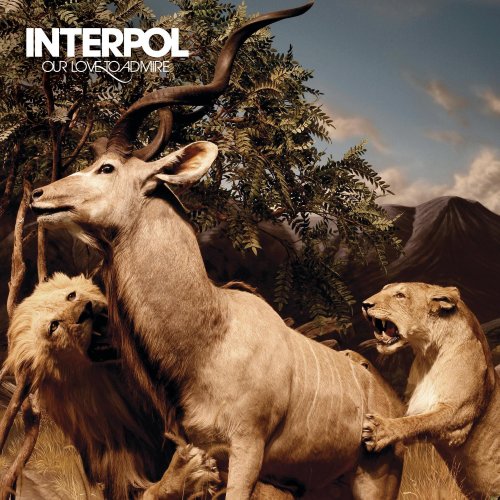 Interpol / Our Love To Admire - CD (Used)