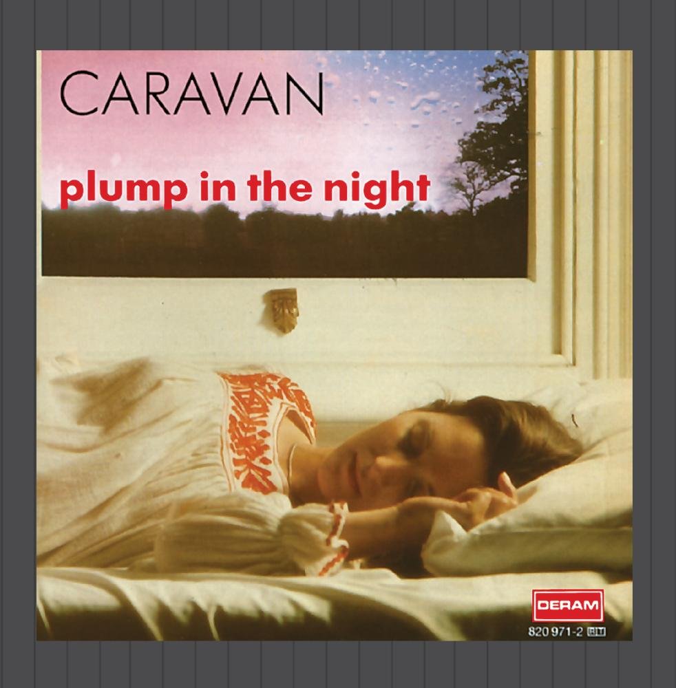 For Girls Who Grow Plump in the Night