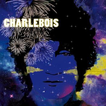 Robert Charlebois / Tout est bien - CD