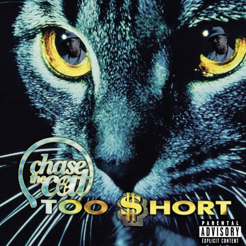 Chase The Cat