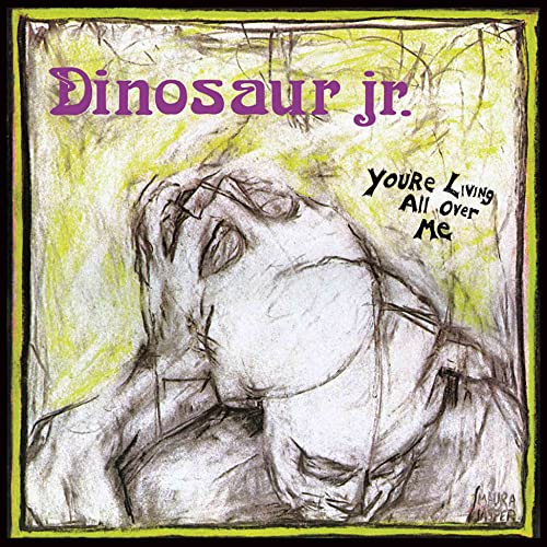 Dinosaur Jr. / You're Living All Over Me - CD