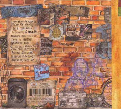 Brendan Canning / Something for All of Us - CD (Used)