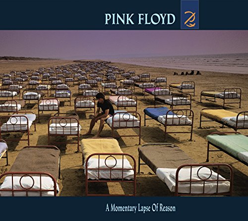 Pink Floyd / A Momentary Lapse of Reason - CD (Used)