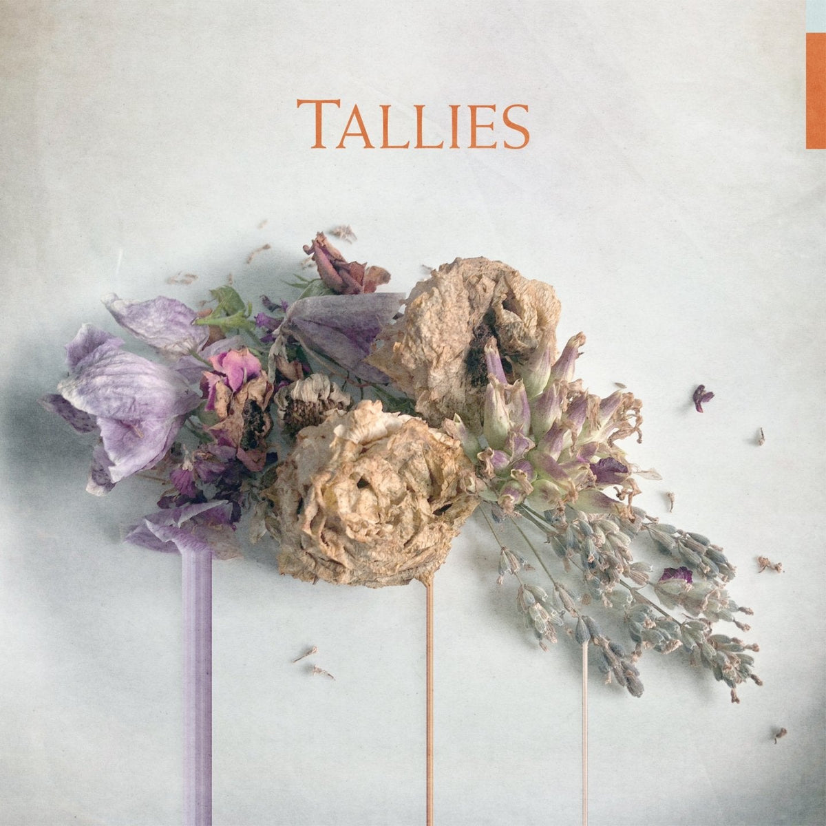 Tallies / Tallies - LP