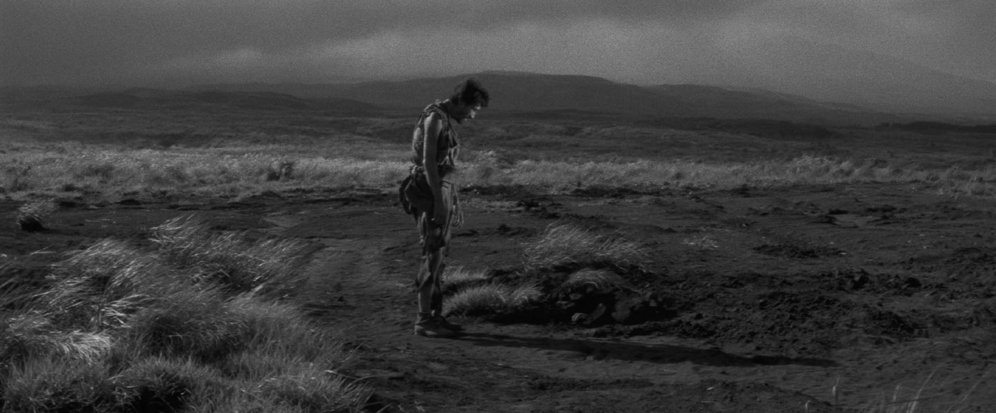 Fires On The Plain (The Criterion Collection) - 4K