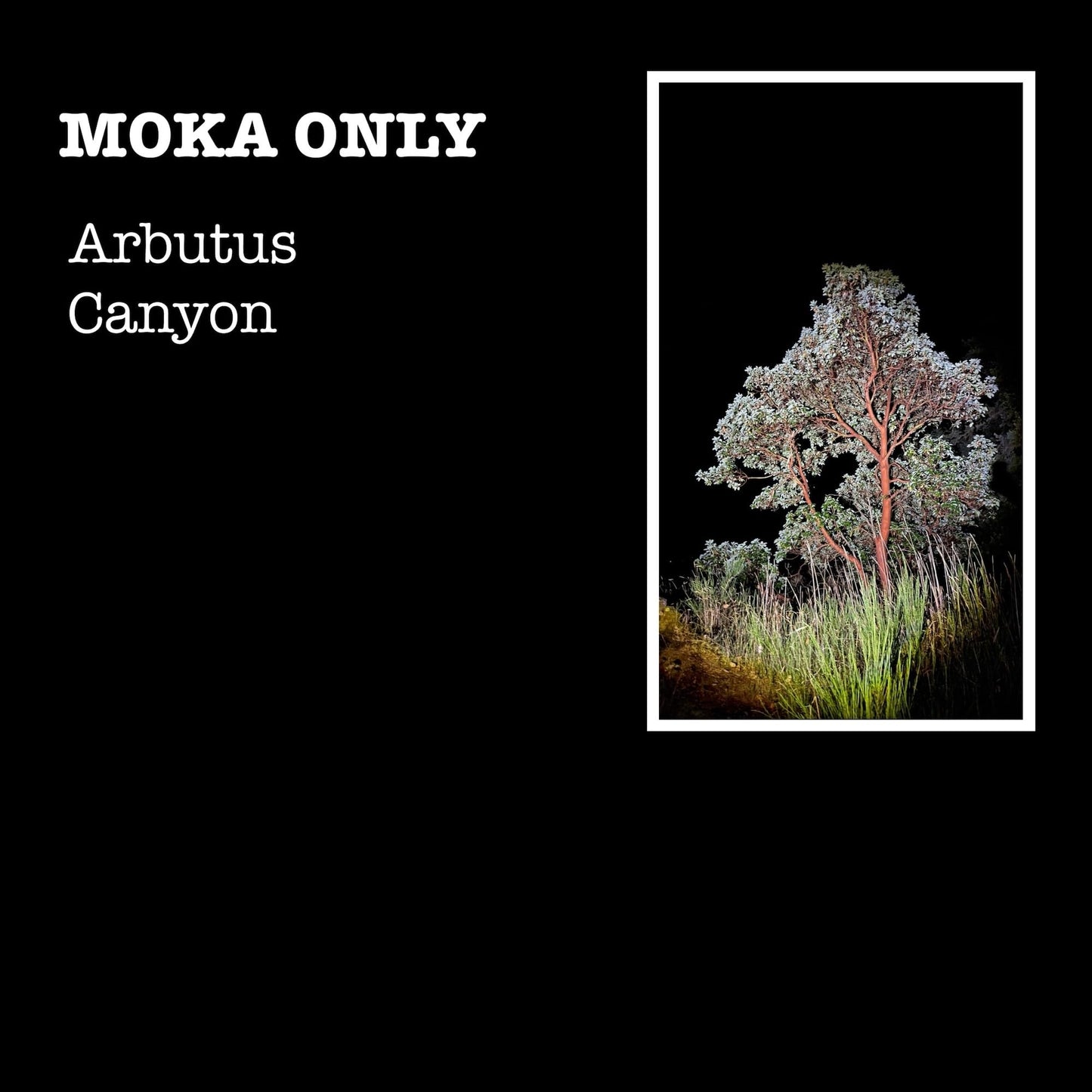 Moka Only / Arbutus Canyon - CD